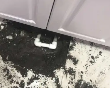 阿拉善盟查漏水哪家好